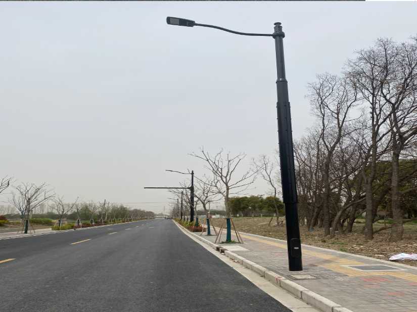 贵溪市上海综合杆 太阳能路灯工程